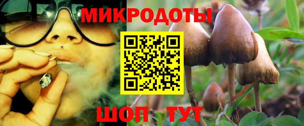 Галлюциногенные грибы Magic Shrooms Комсомольск-на-Амуре