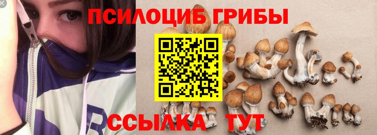 Галлюциногенные грибы Psilocybe  Вход с VPN  Комсомольск-на-Амуре 